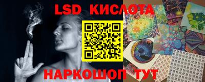 шишки Новозыбков
