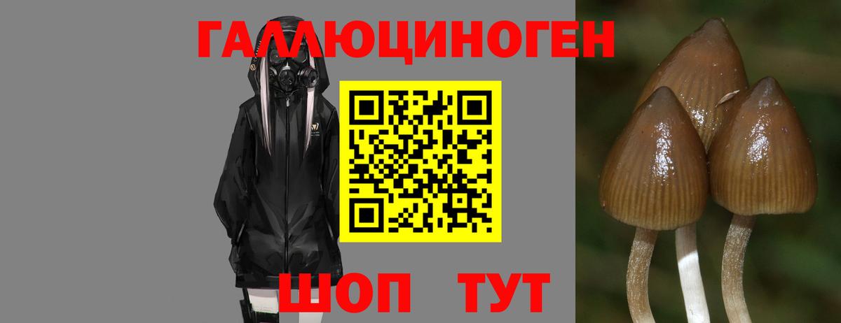 Псилоцибиновые грибы Magic Shrooms  Галлюциногенные грибы Psilocybe  Туймазы  Вход с VPN 